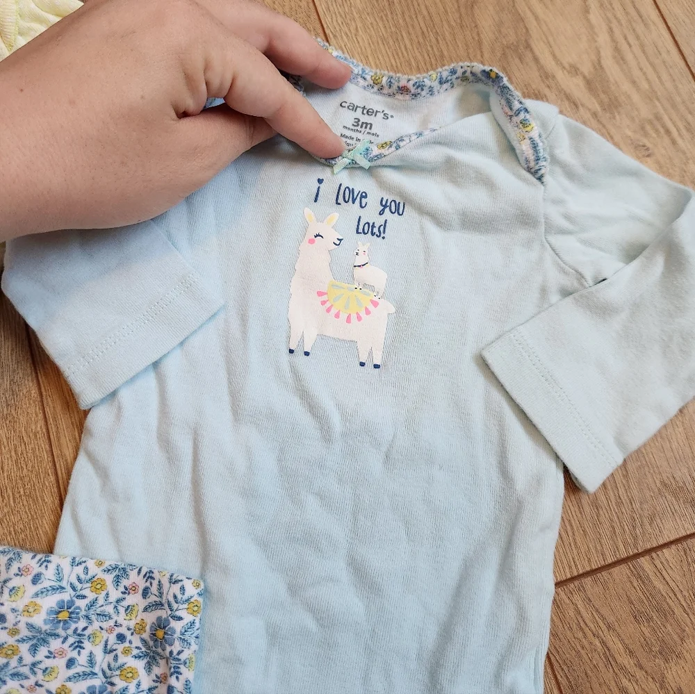 Baby Onesie and Pants Set with Llama Design